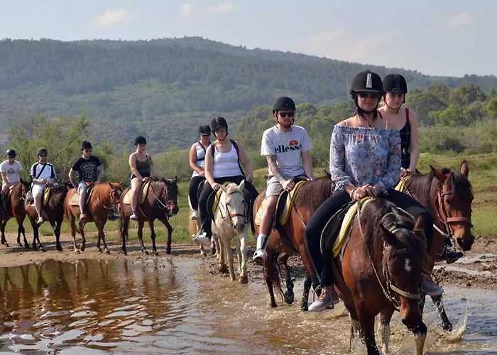 A Dreamy Luxury Two-bedroom With A Special View Of The Forest, Mountains And Sunset