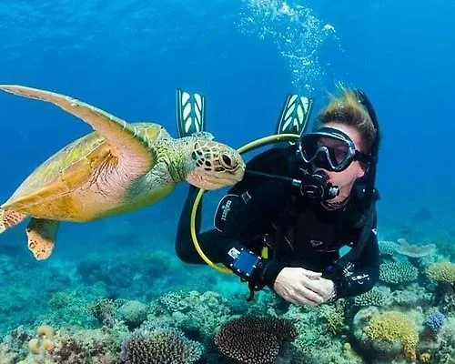 A Dreamy Luxury Two-bedroom With A Special View Of The Forest, Mountains And Sunset * Аланія