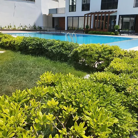 A Dreamy Luxury Two-bedroom With A Special View Of The Forest, Mountains And Sunset