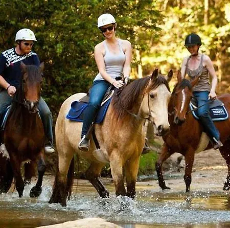 Lägenhet A Dream House With A Dream View In Royal Park *