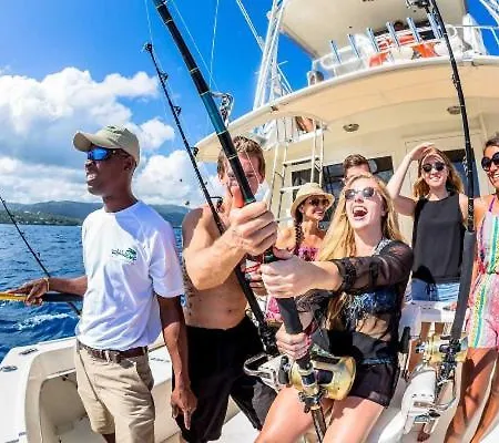 A Dream House With A Dream View In Royal Park