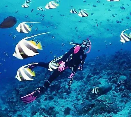 A Dream House With A Dream View In Royal Park Apartment