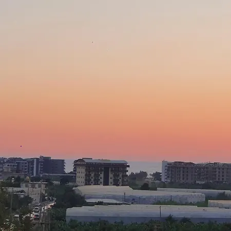 A Dream House With A Dream View In Royal Park