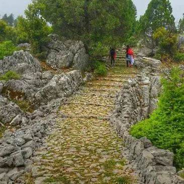 A Dreamy Luxury Two-bedroom With A Special View Of The Forest, Mountains And Sunset