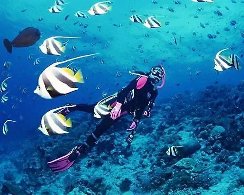 A Dreamy Luxury Two-bedroom With A Special View Of The Forest, Mountains And Sunset Daire